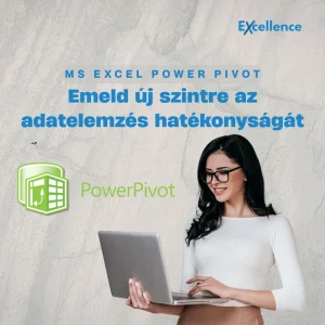 MS Excel Power Pivot